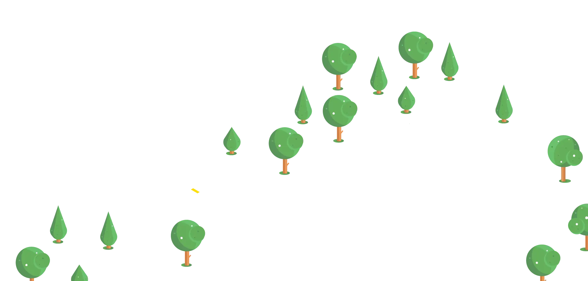 Banner Trees summer