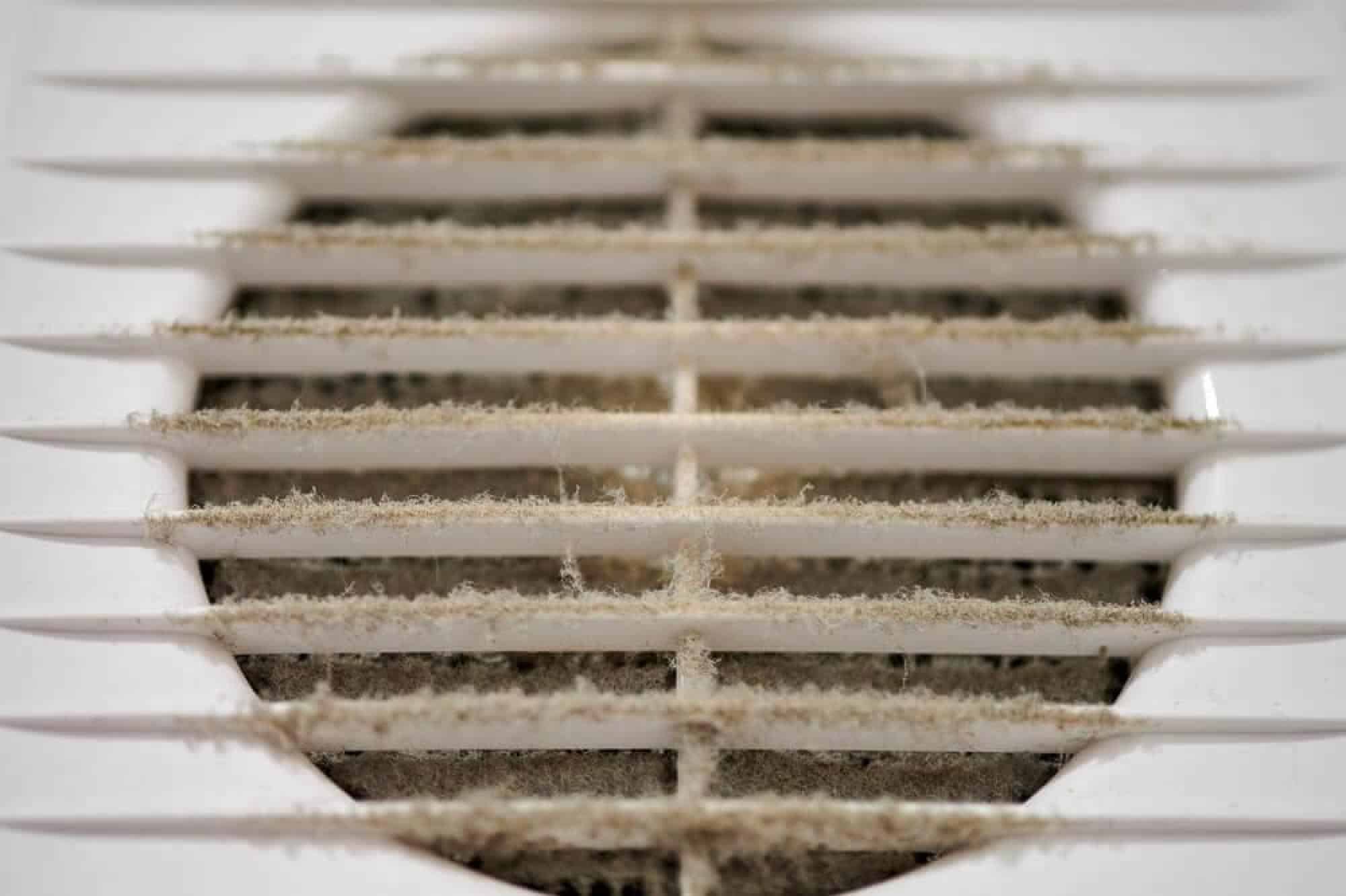 Should I Have My Air Ducts Cleaned?