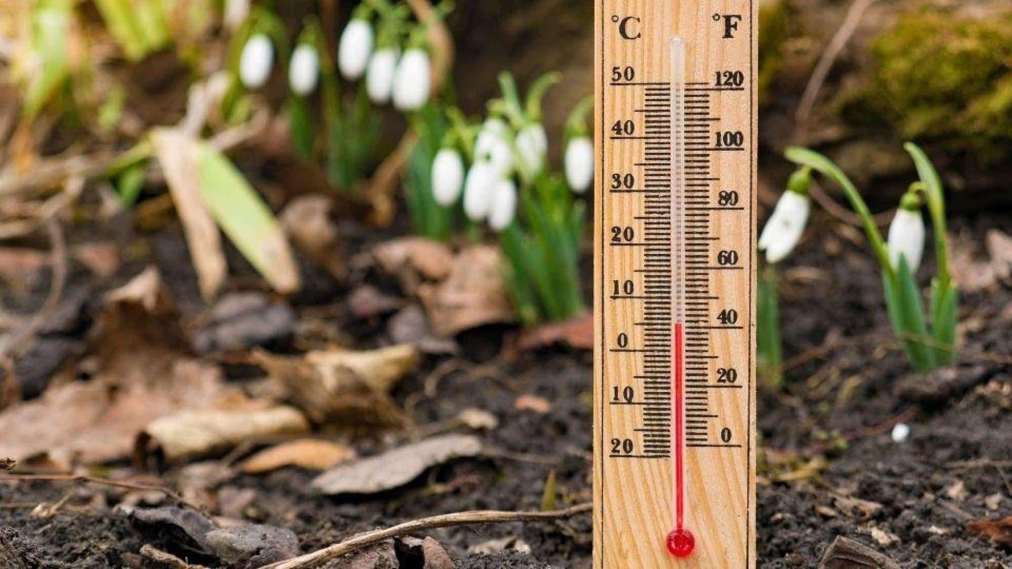 At What Temperature Should You Turn on The Heat?