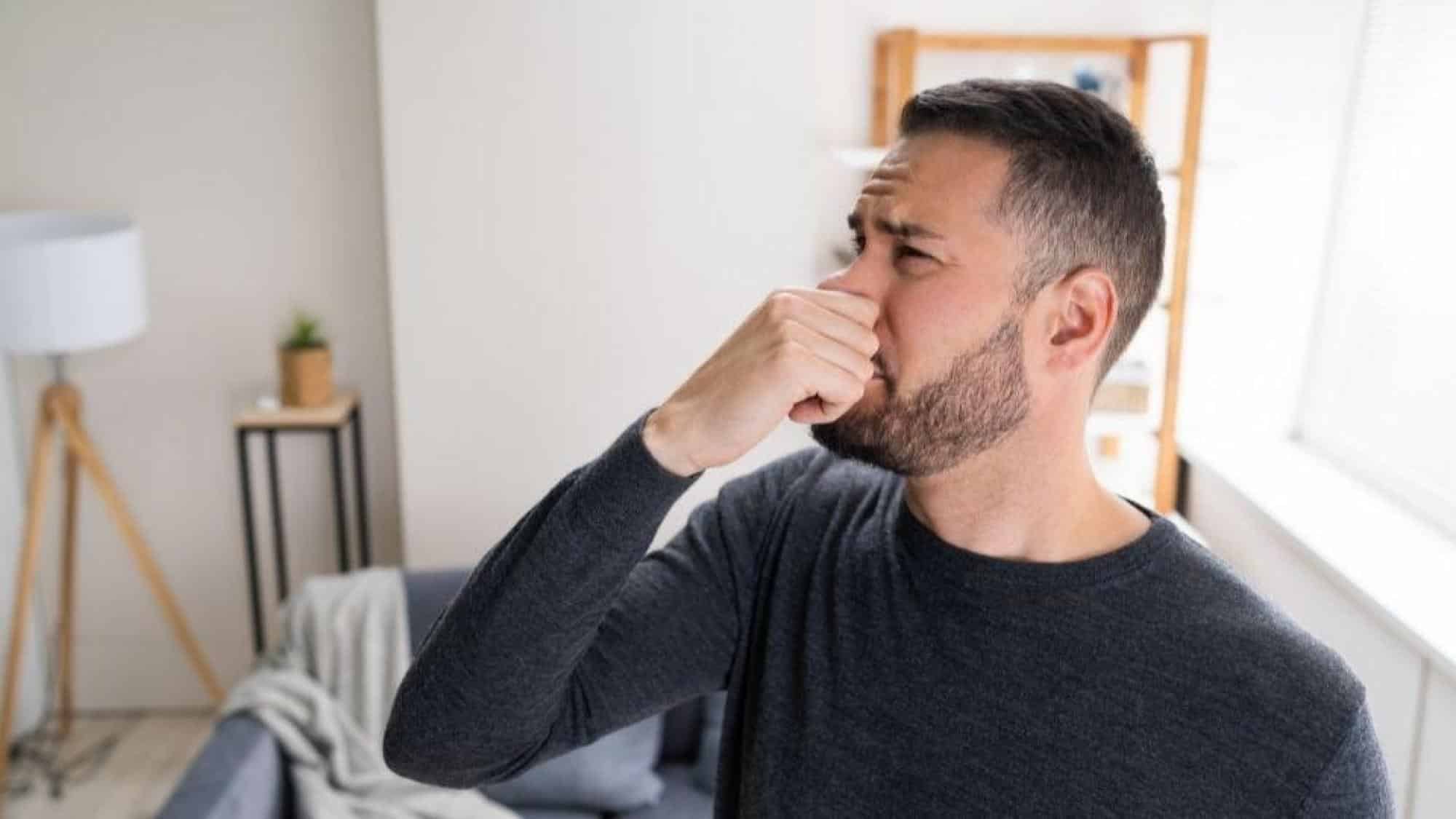How Do Indoor Air Contaminants Hurt You?